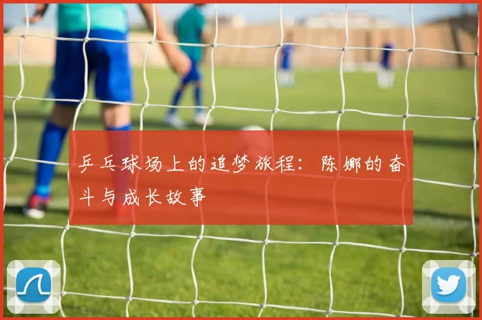 乒乓球场上的追梦旅程：陈娜的奋斗与成长故事