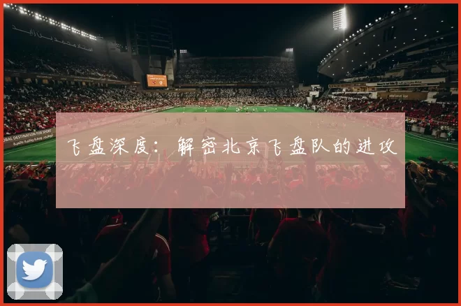 飞盘深度：解密北京飞盘队的进攻