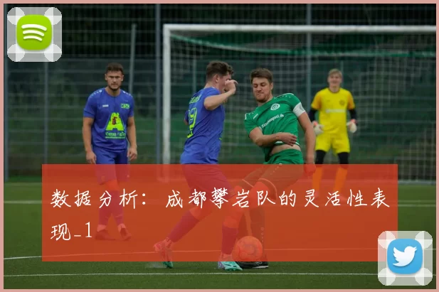 数据分析：成都攀岩队的灵活性表现_1