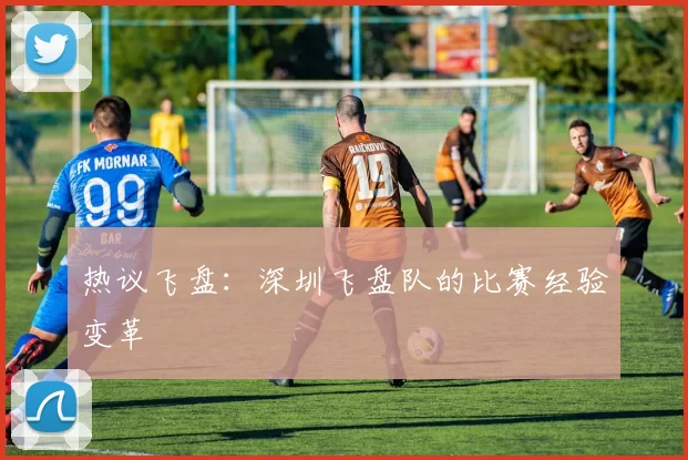 热议飞盘：深圳飞盘队的比赛经验变革