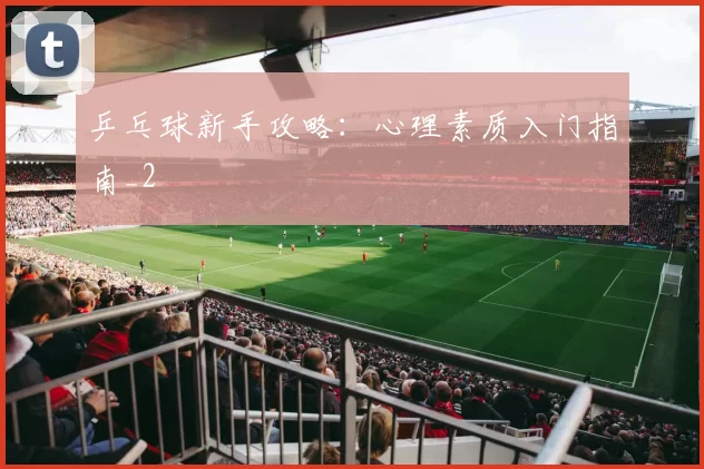 乒乓球新手攻略：心理素质入门指南_2