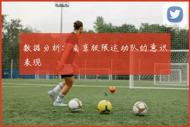 数据分析：南京极限运动队的意识表现