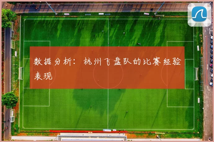 数据分析：杭州飞盘队的比赛经验表现