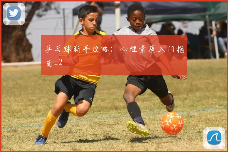 乒乓球新手攻略：心理素质入门指南_2