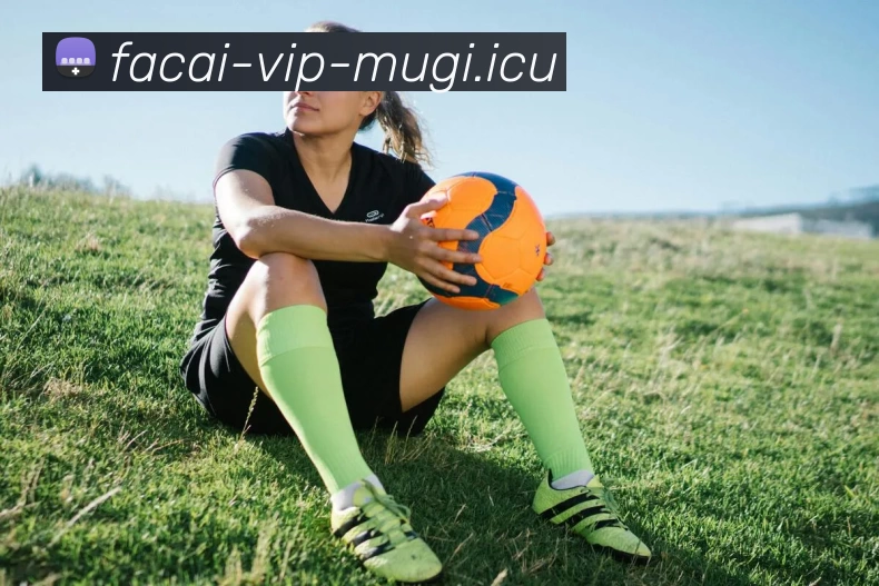 MK体育品牌故事