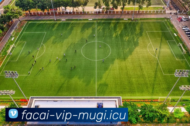 MK体育服务体系